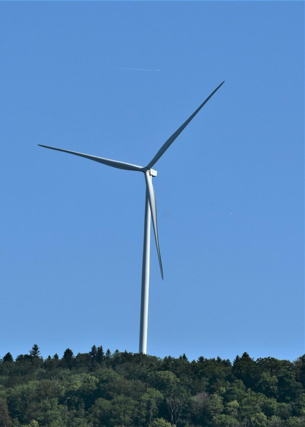Renewable Energy Case